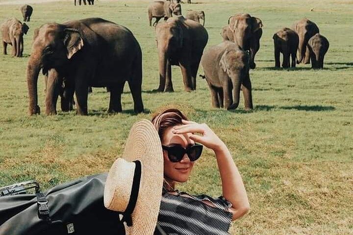 Minneriya National Park Wildlife & Elephant Safari from Sigiriya