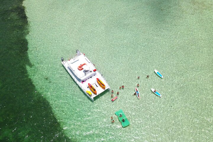 All-Inclusive Sandbar Safari with Dolphin Playground Encounter