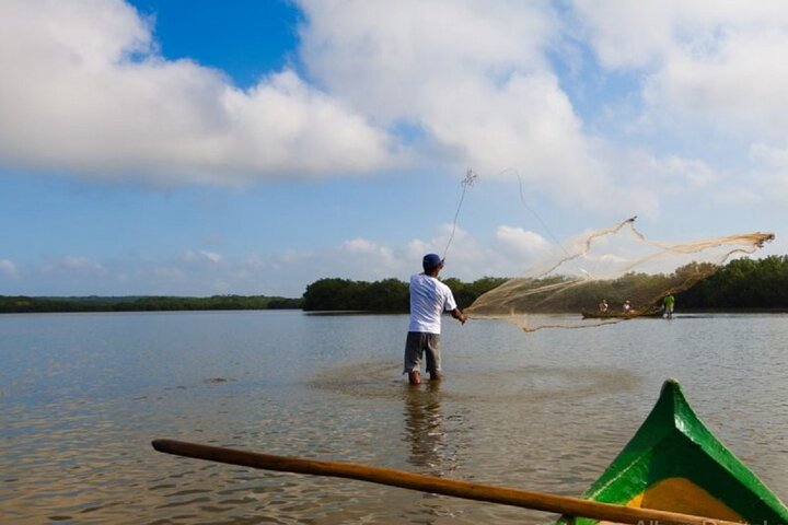 Navigate the Mangroves of Cartagena in a Canoe