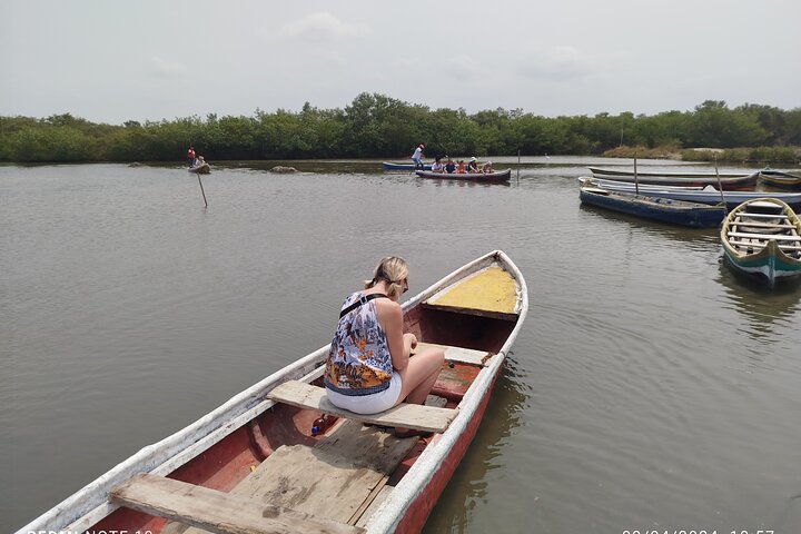 Navigate the Mangroves of Cartagena in a Canoe