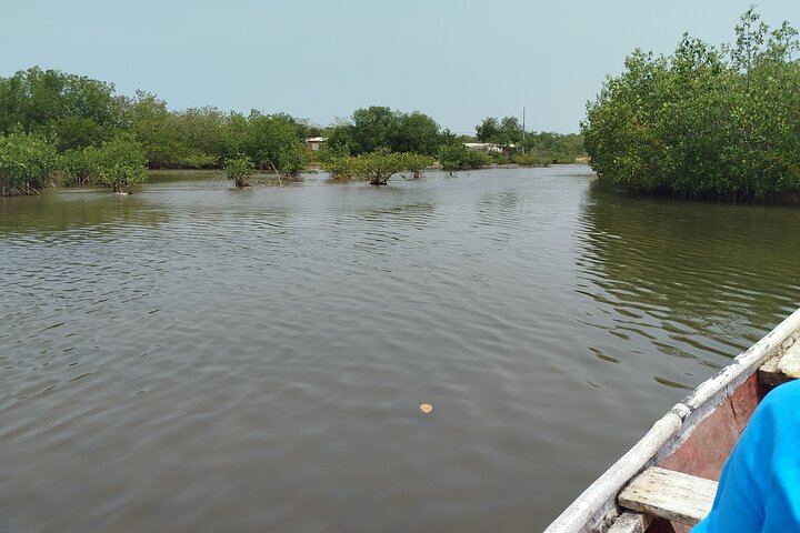 Navigate the Mangroves of Cartagena in a Canoe
