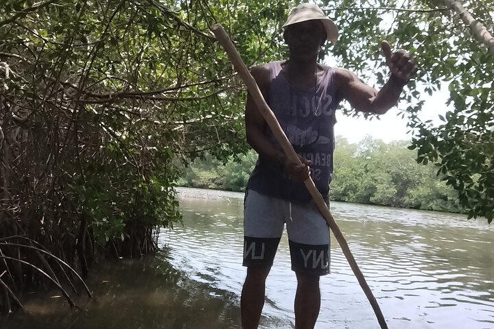 Navigate the Mangroves of Cartagena in a Canoe