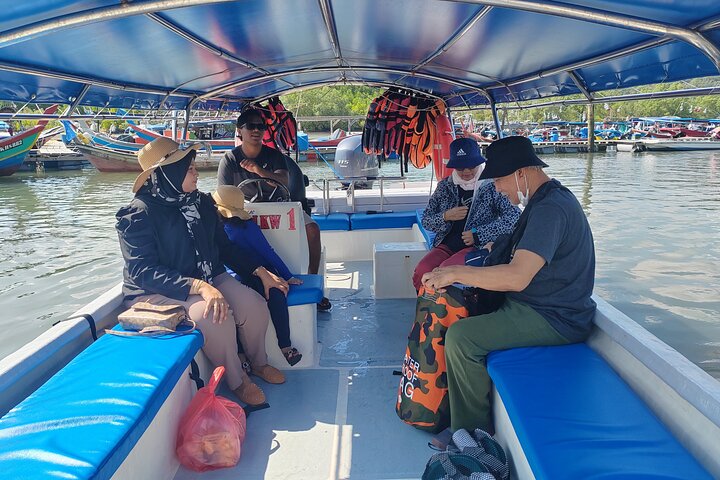 Langkawi Private Tour Highlights with Cable Car and Sky Bridge
