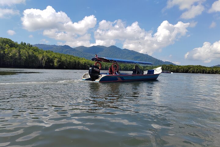 Langkawi Mangrove Boat Tour at Kilim Geoforest Park
