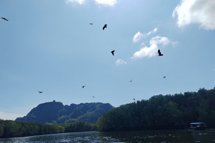 Langkawi Private Tour Highlights with Cable Car and Sky Bridge