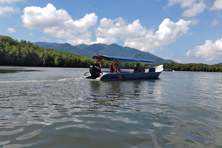 Langkawi Private Tour Highlights with Cable Car and Sky Bridge