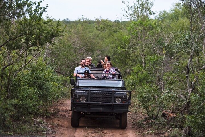 Private Full Day Guided Mkhaya Game Tour