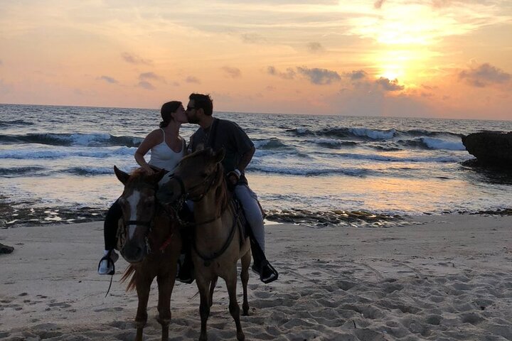 Aruba Ecological & Coastline Horseback Ride with Beach Photo Stop