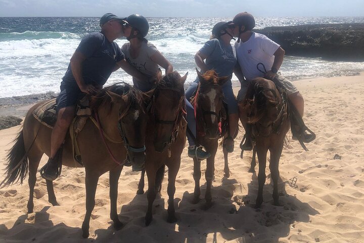 Aruba Ecological & Coastline Horseback Ride with Beach Photo Stop