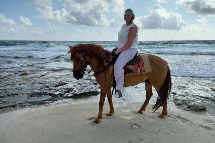 Aruba Ecological & Coastline Horseback Ride with Beach Photo Stop
