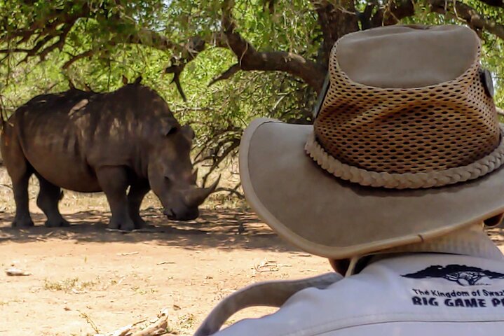 Private Full Day Guided Mkhaya Game Tour