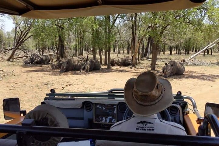 Private Full Day Guided Mkhaya Game Tour