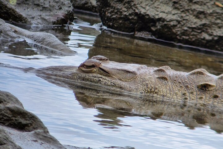 Corcovado National Park Sirena Day Tour From Puerto Jimenez