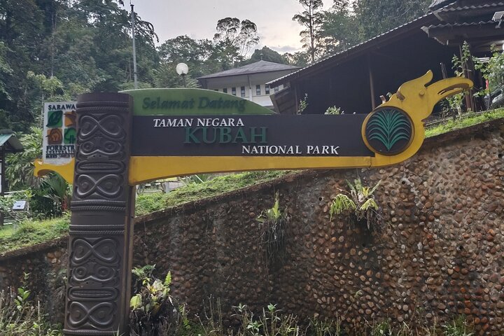 Kubah's Nocturnal Wonders Nighttime Frog Safari