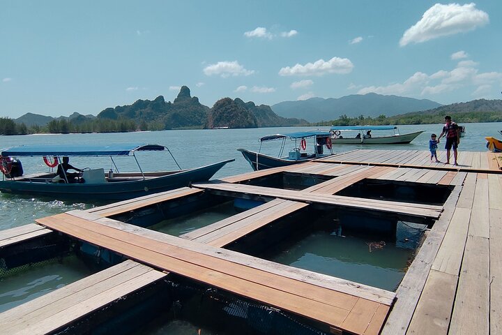 Langkawi Mangrove Boat Tour at Kilim Geoforest Park