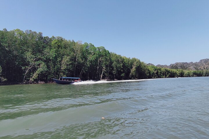 Langkawi Mangrove Boat Tour at Kilim Geoforest Park