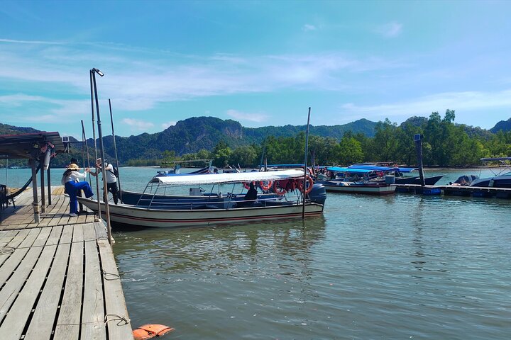 Langkawi Mangrove Boat Tour at Kilim Geoforest Park