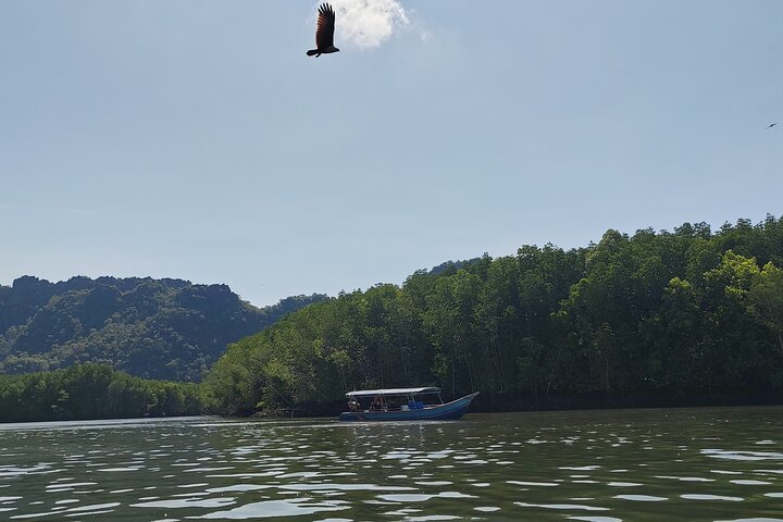 Langkawi Mangrove Boat Tour at Kilim Geoforest Park