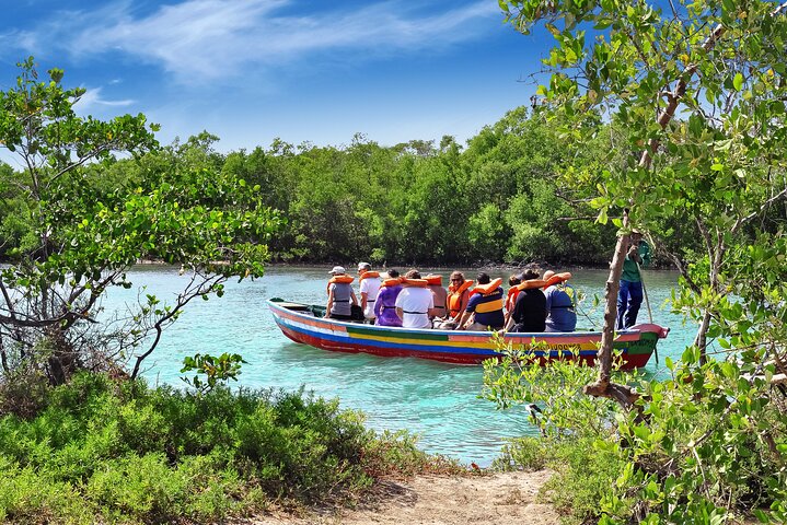 Private Buggy Tour of the West Coast of Jericoacoara
