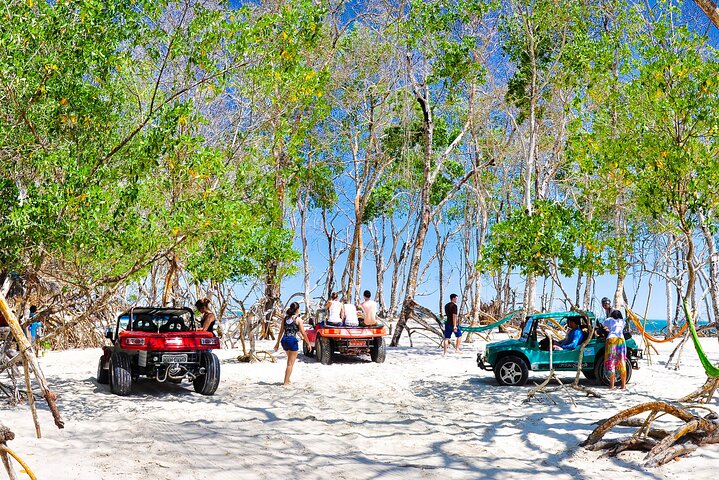 Private Buggy Tour of the West Coast of Jericoacoara