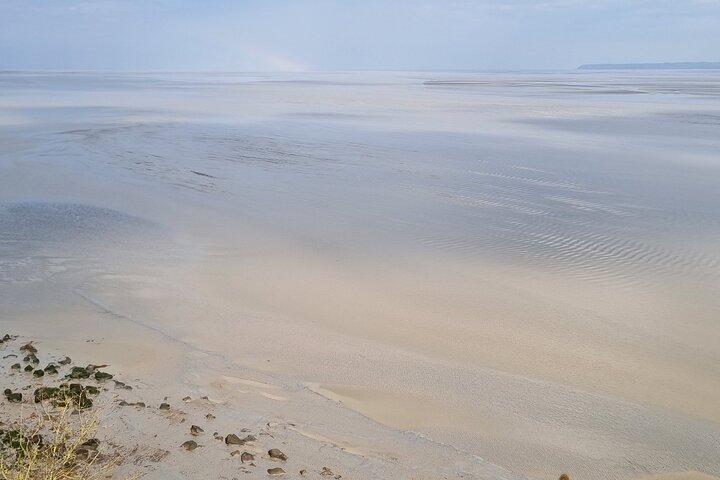 2 hour guided tour of Mont Saint Michel, abbey ticket included