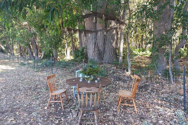 Overnight Private Yurt Getaway in Australia
