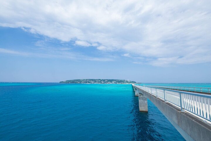Okinawa HIP-HOP BUS A Course Tour | Churaumi Aqualium,Kori Island