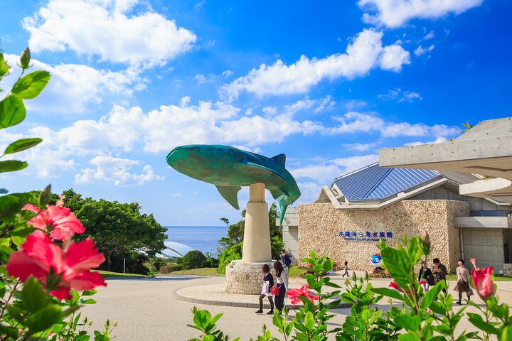 Okinawa HIP-HOP BUS A Course Tour | Churaumi Aqualium,Kori Island