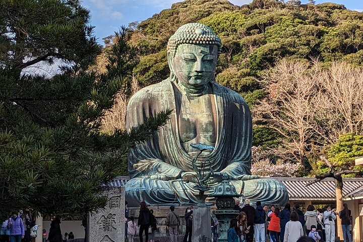 Kamakura Historical Discovery | Private Licensed Guide & Driver