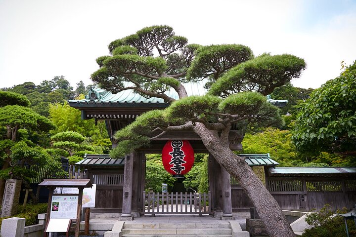 Kamakura Historical Discovery | Private Licensed Guide & Driver