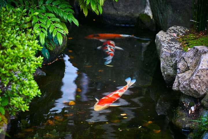 Kamakura Historical Discovery | Private Licensed Guide & Driver