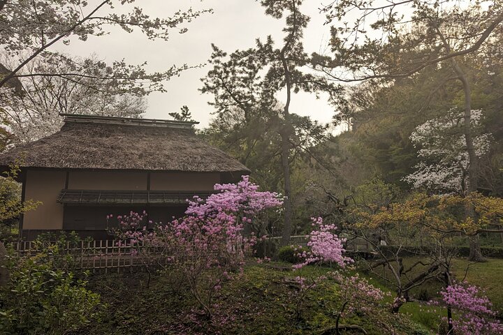 Kamakura Historical Discovery | Private Licensed Guide & Driver