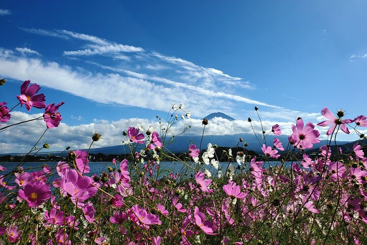 Mount Fuji Full-Day Private Tour from Yokohama Customizable