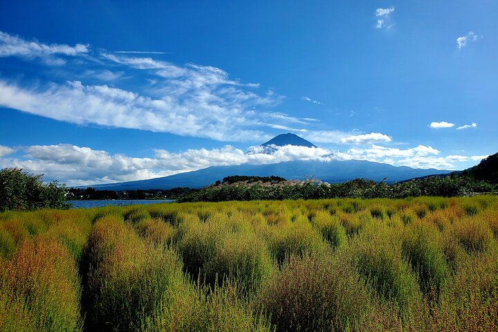 Mount Fuji Full-Day Private Tour from Yokohama Customizable