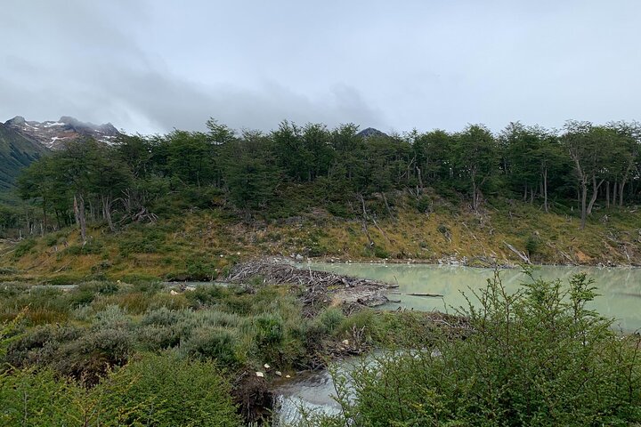 Trekking Tour Laguna Esmeralda and Fuegian Valleys
