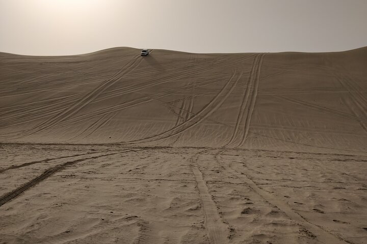 Full Day Desert Safari in Qatar with Lunch/Dinner by sea side