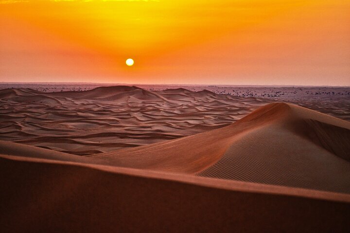Full Day Desert Safari in Qatar with Lunch/Dinner by sea side