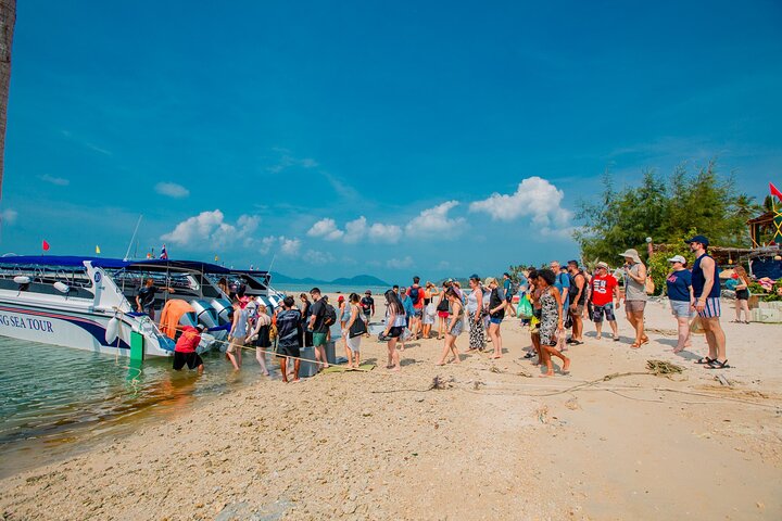 Pink Dolphin and Pig Island Snorkeling Tour from Koh Samui