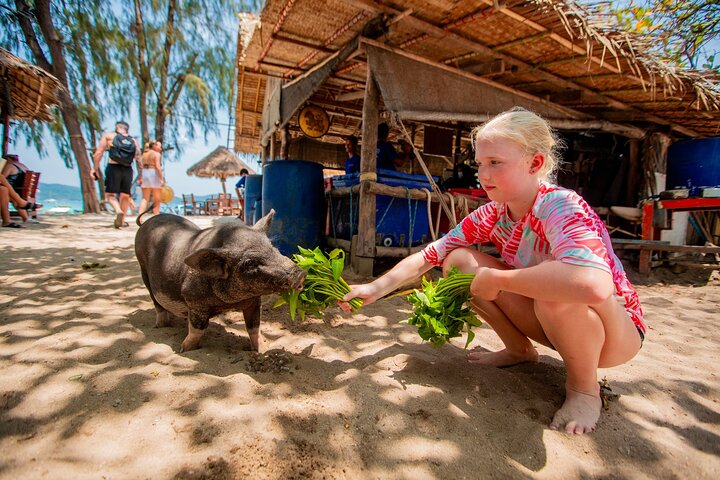 Pink Dolphin and Pig Island Snorkeling Tour from Koh Samui