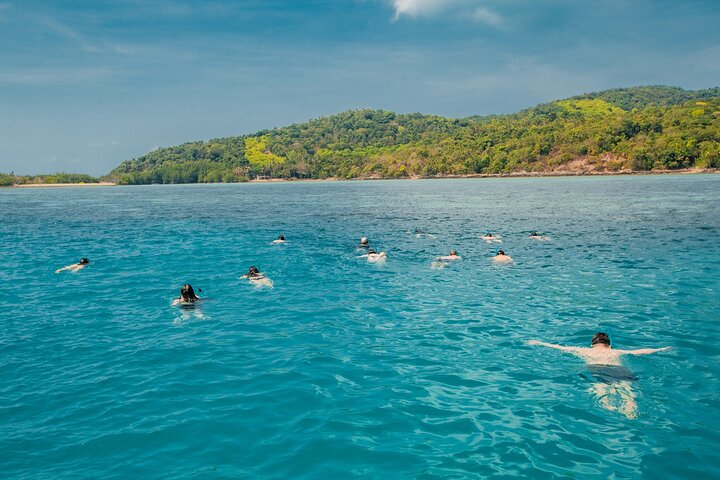 Pink Dolphin and Pig Island Snorkeling Tour from Koh Samui