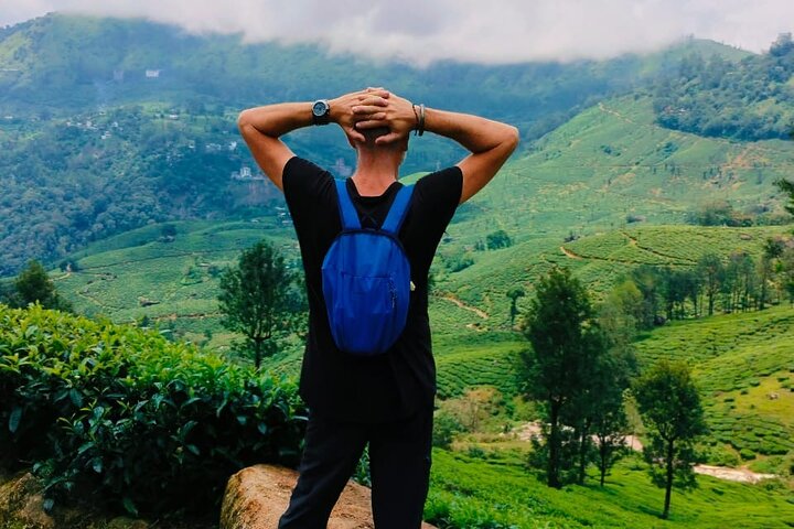 Munnar Tea Trail Tour , Tea factory visit & Tea Tasting