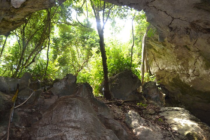 Full-day Tour Mnemba Jozani Forest Kuza Cave Paje Beach The Rock