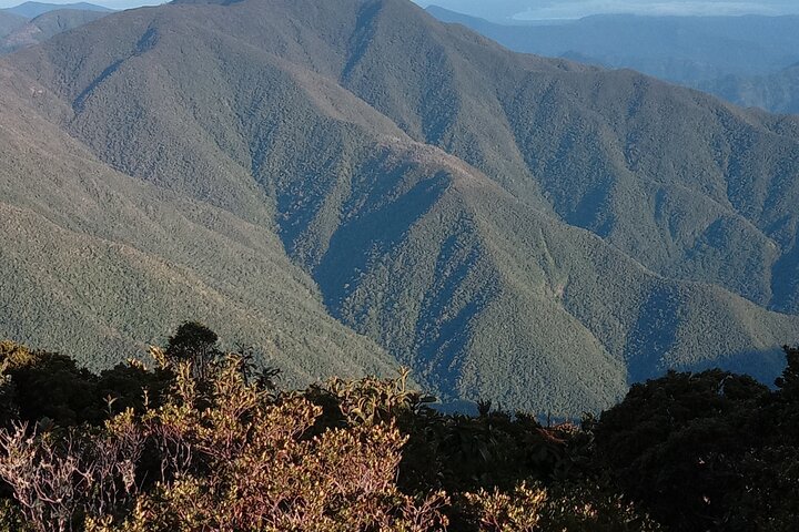 Blue Mountains Peak Hike