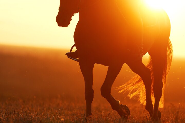 Horseback Riding in the Landscape