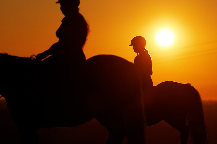 Horseback Riding in the Landscape