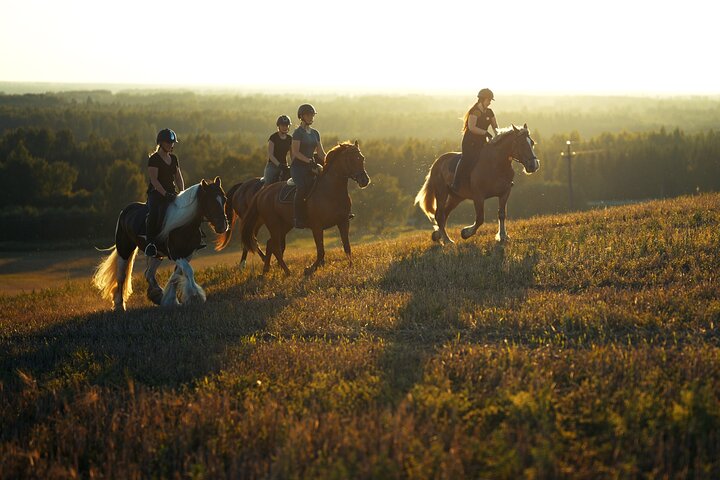 Horseback Riding in the Landscape