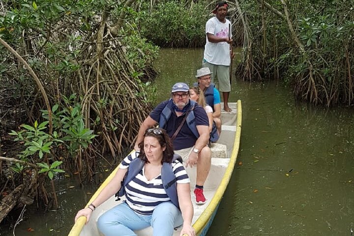 Navigate the Mangroves of Cartagena in a Canoe
