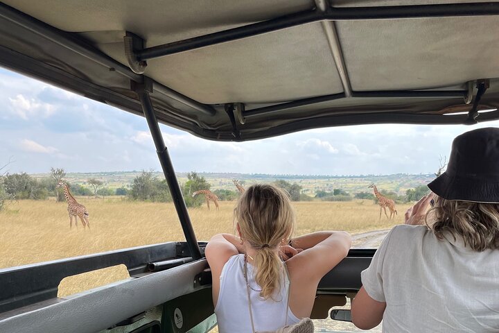 One Day Akagera Wildlife Safari
