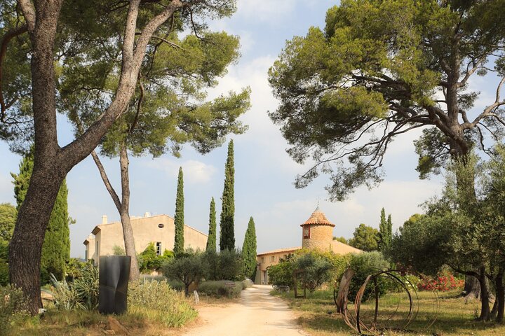 Bandol Wine Trip from Toulon & Ports