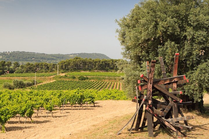 Bandol Wine Trip from Toulon & Ports